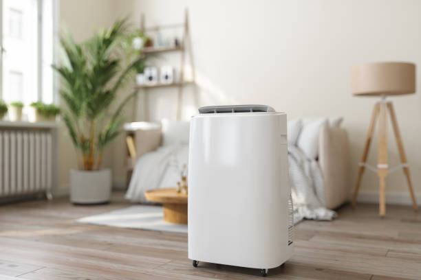 Best Air Filters and Purifiers in Alturas, FL